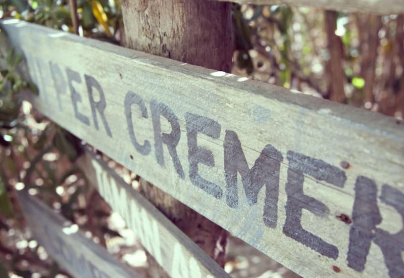 Rustic wooden signs point the way through a tropical garden, evoking a romantic and elegant atmosphere. Perfect for a luxury wedding ceremony, this space could host a bespoke event, showcasing exceptional locations in Provence, the French Riviera and Corsica. An idyllic setting for a grand celebration, where every detail is carefully organized to create a dream wedding. The natural surroundings, with their hints of greenery, add a touch of elegance.
