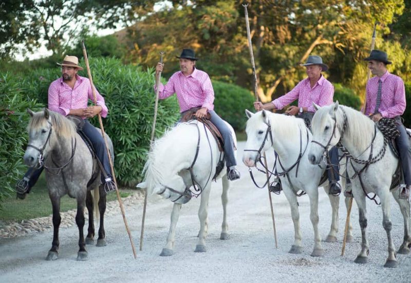 Four elegantly dressed riders, mounted on magnificent white horses, stand on a path surrounded by lush greenery, creating a romantic and sophisticated ambiance, perfect for a luxury wedding in Provence. Their colorful outfits add a touch of charm to a bespoke event, ideal for a grand ceremony in a private estate or exceptional setting. This scene evokes a unique wedding, where every detail is carefully orchestrated.