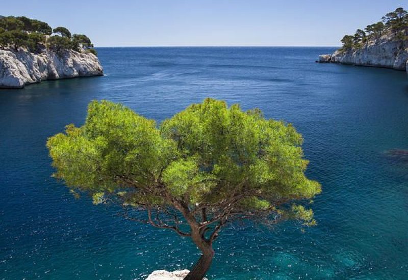 Vue panoramique d'une eau turquoise et d'une falaise pittoresque, idéale pour un mariage romantique en Provence. Ce cadre naturel, parfait pour une cérémonie grandiose, met en valeur l'élégance des événements sur mesure organisés par By Mademoiselle C. Imaginez un mariage de luxe au bord de la mer, entouré de paysages enchanteurs et de lieux exceptionnels. Un domaine privé comme celui-ci offre une ambiance sophistiquée pour une célébration unique,