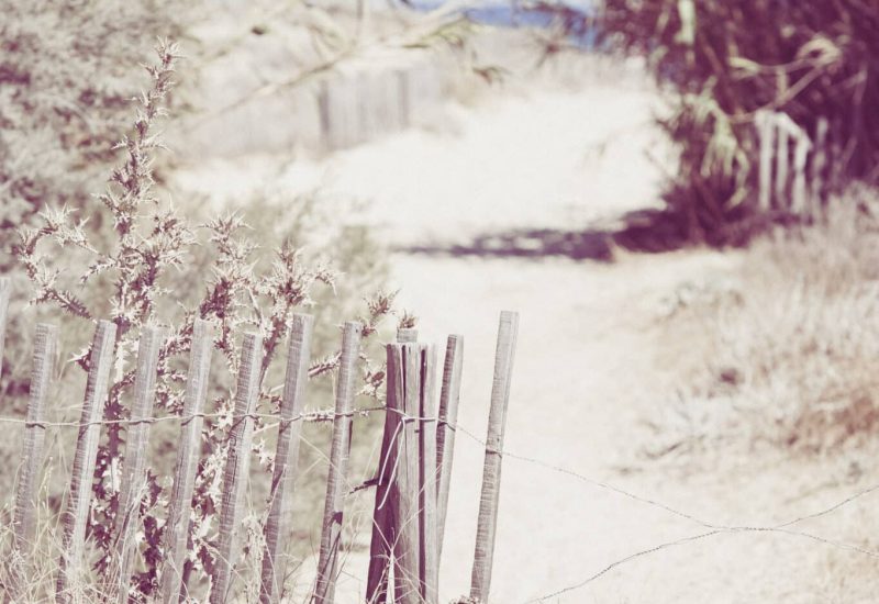 Une allée romantique menant à une plage idyllique, parfaite pour une cérémonie de mariage de luxe. L'atmosphère sereine et élégante évoque un rêve de mariage sur la Côte d'Azur. Ce lieu exceptionnel, entouré de végétation méditerranéenne, constitue un cadre idéal pour une célébration grandiose, offrant des panoramas à couper le souffle. By Mademoiselle C se spécialise dans l'organisation de mariages sur mesure, créant des événements