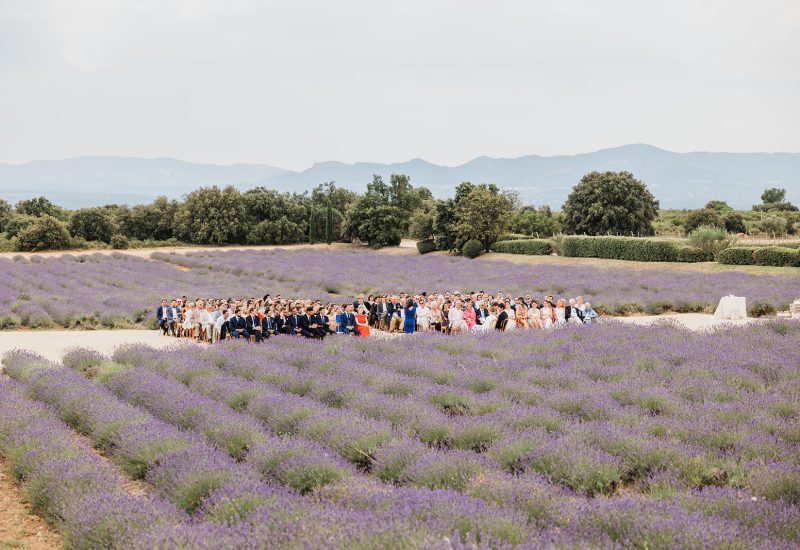 wedding-lavender-provence-South of France